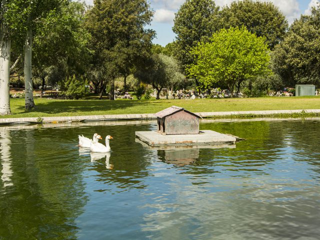 Lago en el Cementerio Jardín de Alcalá de Henares